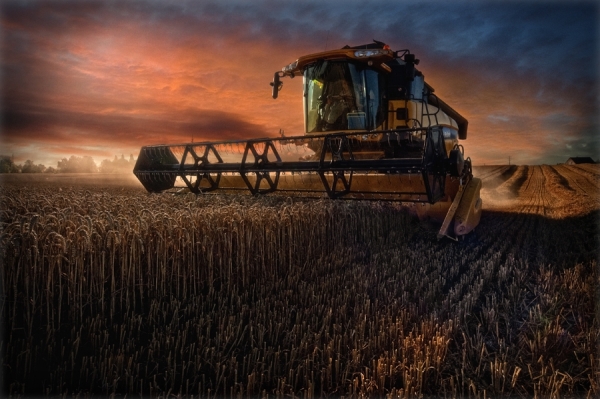 Photograph Philippe Debooser The Machine on One Eyeland